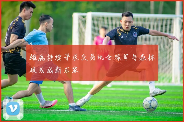 雄鹿持续寻求交易机会绿军与森林狼或成新东家